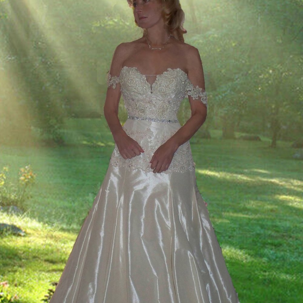 Maggie Sottero Wedding Dress Gown Size 10